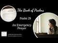 Psalm 28: An Emergency Prayer