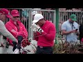 Tiger Woods’ range session before Sunday Singles at Presidents Cup 2019