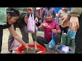 Harvesting A Lot Of Fish At Mud Pond Goes to market sell - Cooking fish | Free Bushcraft