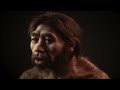 Human Origins - Documentary