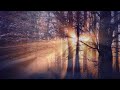 Meditative Music for Deep Focus and Concentration | Meditation Music