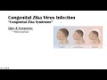Zika Virus Infection | Transmission, Congenital Defects, Symptoms & What You Need To Know