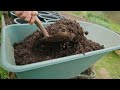 5 Reasons Why I'm Not Growing Potatoes in Raised Beds | Growing Potatoes in Containers