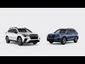 2024 Subaru Ascent vs 2024 Subaru Forester | What Are The Differences?