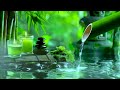 Relaxing Piano Music + Insomnia and Healing 🌿 Relaxing Music, Sleep Music, Meditation, Nature Sound