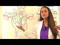 Tetralogy of Fallot Nursing NCLEX | Congenital Heart Disease Defects