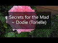 Secret for the Mad ~ Dodie (Torielle)