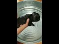 Puppies first bath