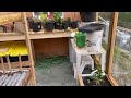 DIY greenhouse update. Seedling shelves, raised beds and pathways