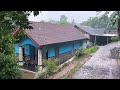 Rain in a beautiful and cool village||Indonesian rural atmosphere||suitable for insomnia