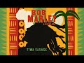 Bob Marley & The Wailers - Waiting In Vain (Visualiser) ft. Tiwa Savage