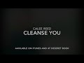 Cleanse You by Calee Reed - Lyric Video