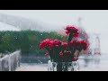 【Relaxing Music #9】Soothing Piano Melodies for Melancholic Hearts - Stress Relief BGM