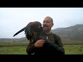 The beautiful tradition of Falconry | Nature Documentary