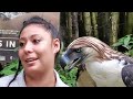 Adventure #24: Up, close, personal with the Philippine Eagle | Part 5