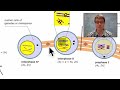 Phases of Meiosis