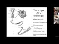 MIT Deep Learning in Genomics - Lecture 16 - Genetics 1: GWAS, Linkage, Fine-Mapping