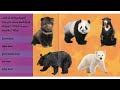 Bears  - a nonfiction book read aloud