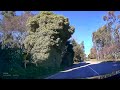 4K Scenery  A glimpse of road scene of Emerald Lake Park, Mel,VIC   路边的景色1544