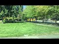 School Buses in Mercer Island, WA (Part 1)