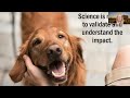 Animal-Assisted Interventions for Autism Spectrum Disorder