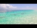 Blue Therapy: 3 Hours of Ocean Ambience on a Tropical Island (4K Video)
