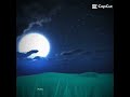 I watch the moon|Lunar and earth show|Lumini|Lunar × Gemini