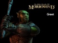 Morrowind Female Orc Responses