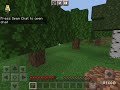 All overworld ores (except emerald) in 1:06.31