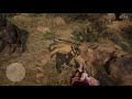 Red Dead Online | Legendary Red Streak Coyote