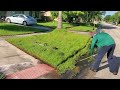 The Lawn Makeover Show: Lawn Care Mowing, Mowing Extremely Tall Grass. Witness the care!