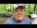 Crockett's Breakfast Camp Review & Gatlinburg Trail hike to Cataract Falls 2020