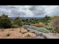 Nature Sounds from Mount Tomah | nature sounds of bird song