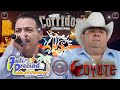 Julio Preciado y El Coyote 🎶 Puros Corridos Con Banda Mix 2024