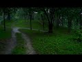 The special sound of rain in the deep forest - meditation and relaxation natural healing white noise