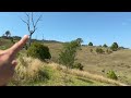 How to reforest a steep slope without swales or irrigation 🌱🌿🌳