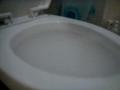 Dry Ice in Toilet Bowl1