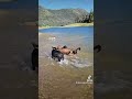 Dog Lake Day-Full Videos