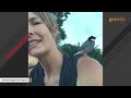 Every sunrise, this bird visits a woman for cuddles