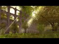Guild Wars 1 Ambience: Regent Valley (pre-Searing) (with music)