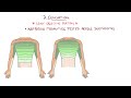 Neurological Examination of the Upper Limb