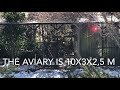 Can Aviary Birds be outdoor in winter? | Bird Aviary | Softbills | Finches | S1:Ep1