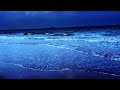 Fall Asleep On A Full Moon Night With Calming Wave Sounds - Ocean Sounds and Forest Nature Sound