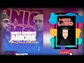 UNICO GRANDE AMORE - Marco Puma · Pinto Picasso (Bachata 2024🌍)