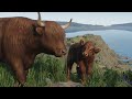 ▶ All Animals of the Barnyard Animal Pack & More Exciting Planet Zoo News!
