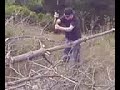 Tree Chopping Down