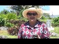 CITV News, Rarotonga November 23 2019