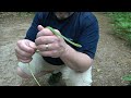 Rough Green snake