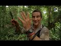 Bear Grylls in Borneo Jungle | Man vs Wild (4/6)