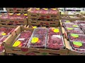 HEALTHY FOOD STAMP SHOPPING HAUL AT SAM’S CLUB | NOURISH YOUR BODY WITHOUT BREAKING THE BANK !